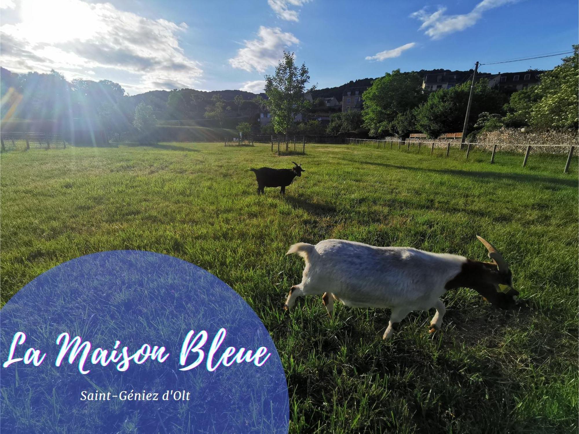 La Maison Bleue, Village Vacances, Piscine, Parking Apartment Saint-Geniez-d'Olt